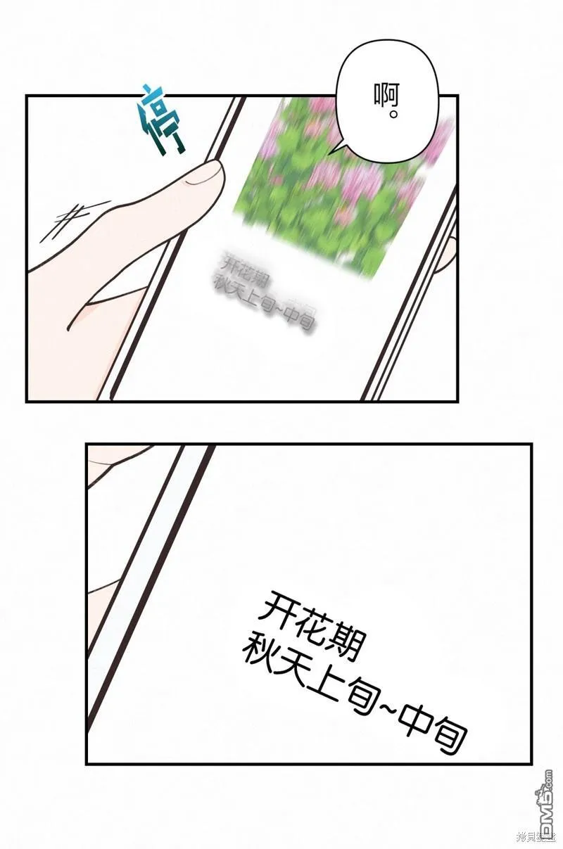 第14话 第39页
