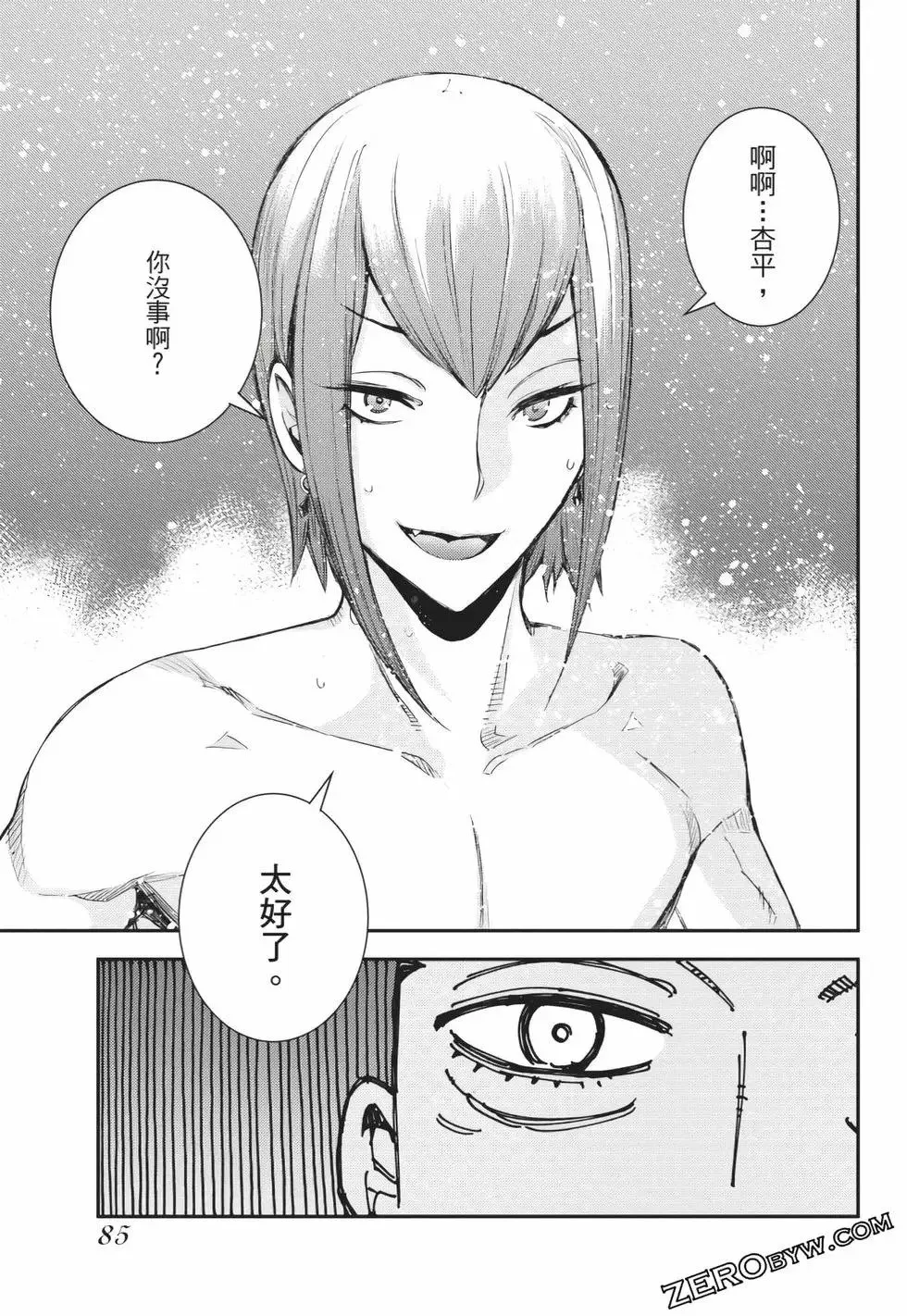 第25卷 第86页