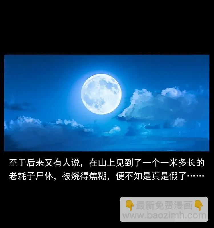 144守林人死亡事件 第70页