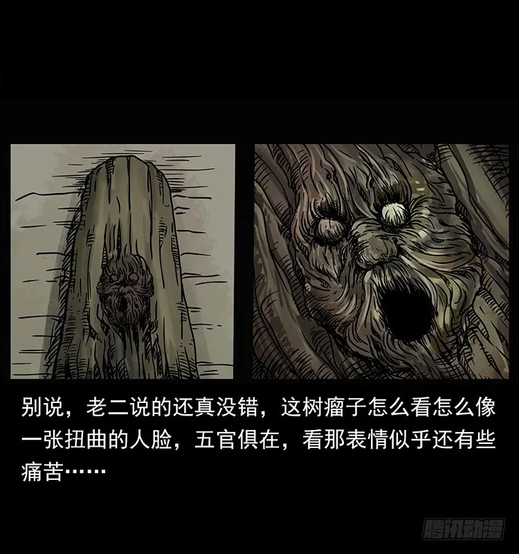 143石碾屯诡案 第13页