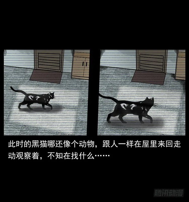 141黑猫杀人事件 第31页