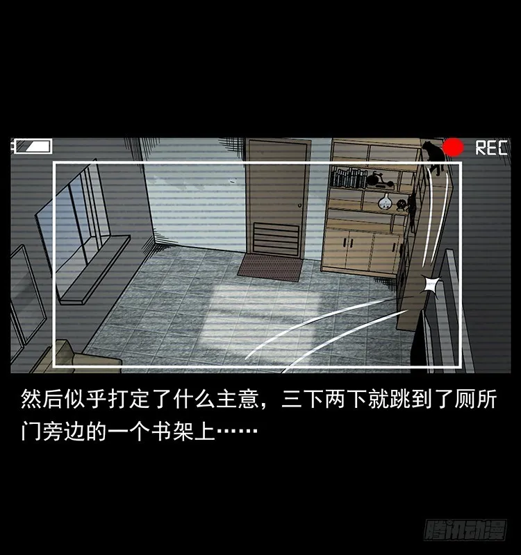 141黑猫杀人事件 第32页
