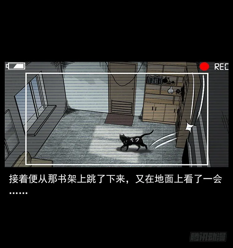 141黑猫杀人事件 第36页