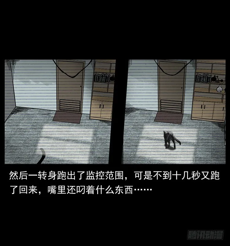 141黑猫杀人事件 第37页