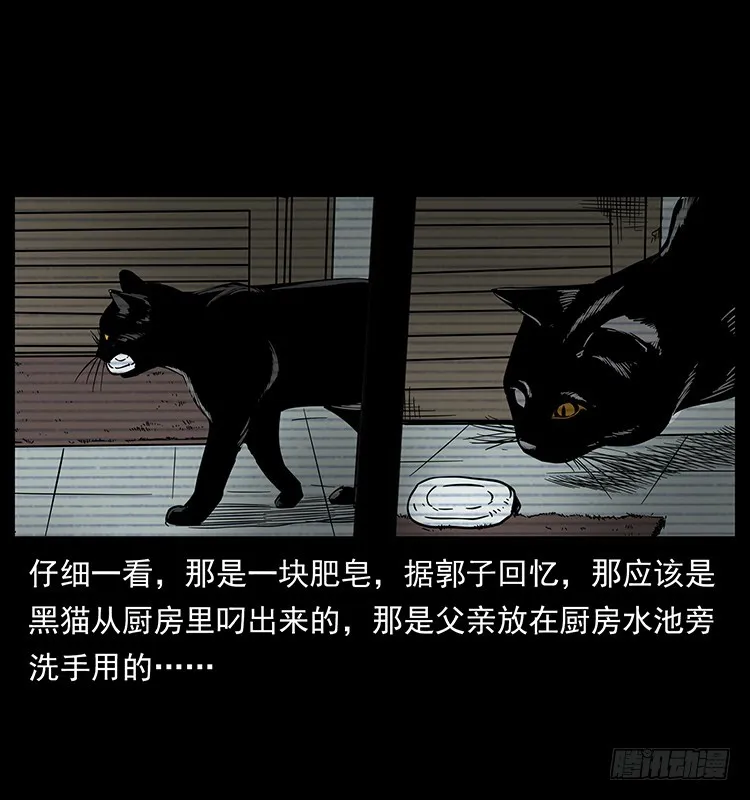 141黑猫杀人事件 第38页
