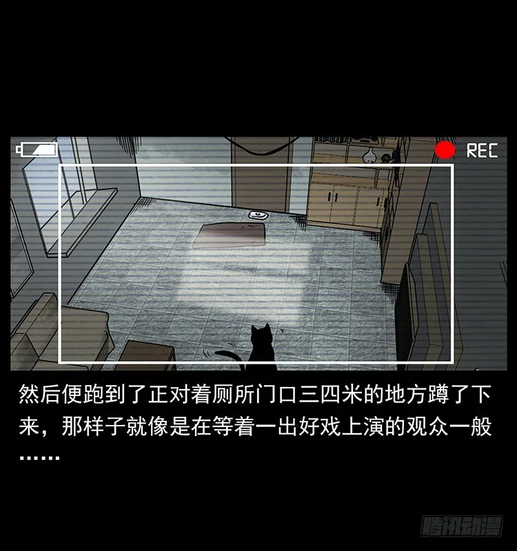 141黑猫杀人事件 第40页