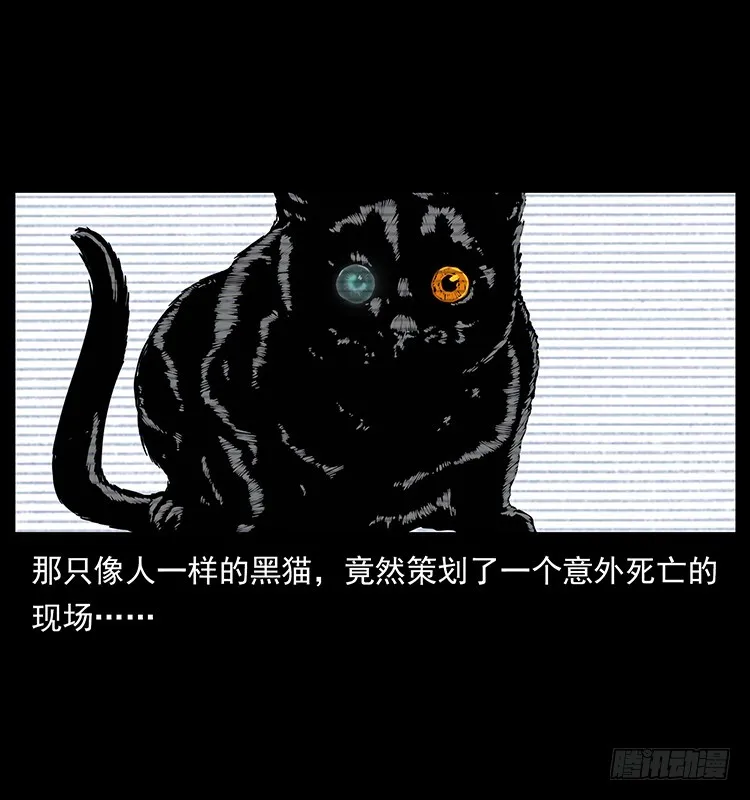 141黑猫杀人事件 第47页