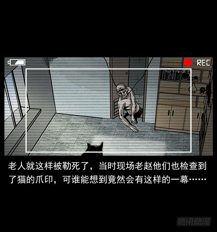 141黑猫杀人事件 第48页