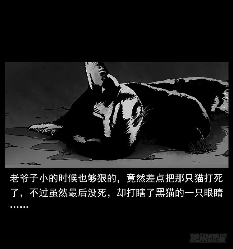 141黑猫杀人事件 第61页