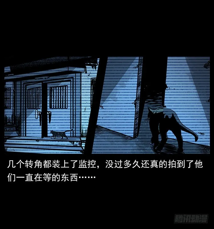 141黑猫杀人事件 第67页