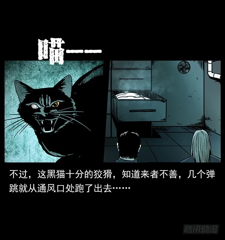 141黑猫杀人事件 第73页