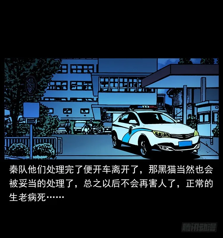 141黑猫杀人事件 第79页