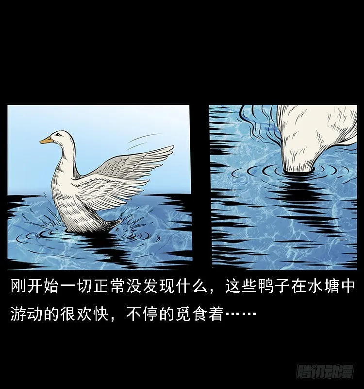 131鱼阎王大战水猴子 第26页