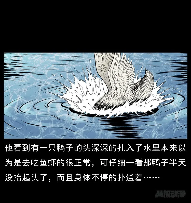 131鱼阎王大战水猴子 第28页