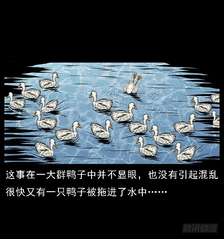 131鱼阎王大战水猴子 第31页