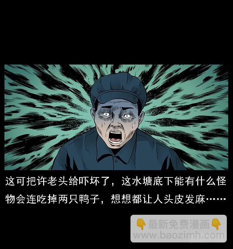 131鱼阎王大战水猴子 第32页