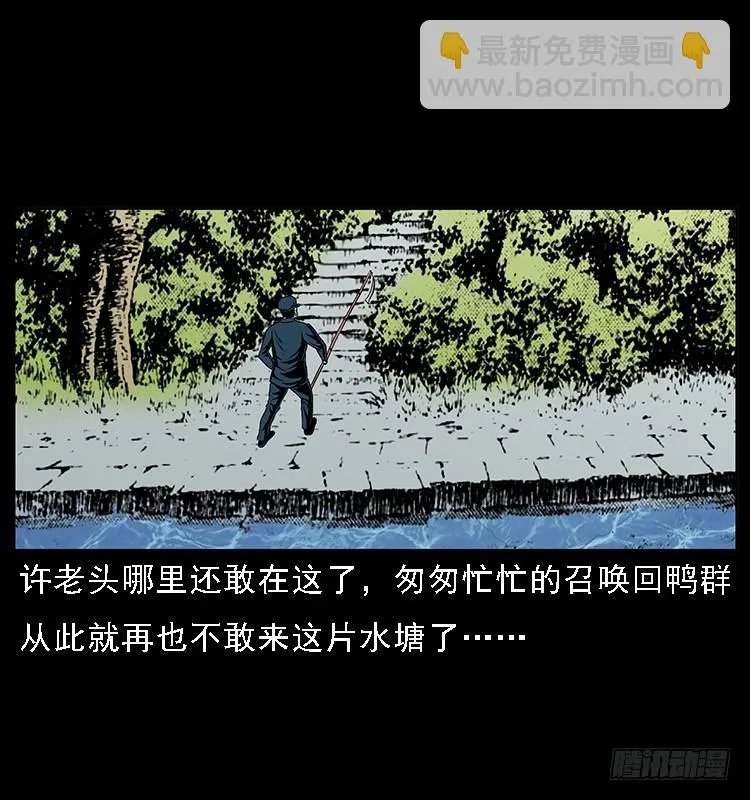 131鱼阎王大战水猴子 第33页