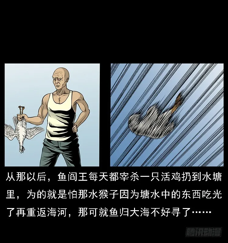 131鱼阎王大战水猴子 第38页