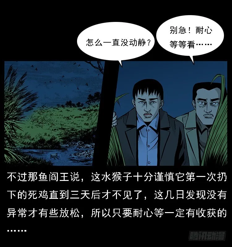 131鱼阎王大战水猴子 第41页