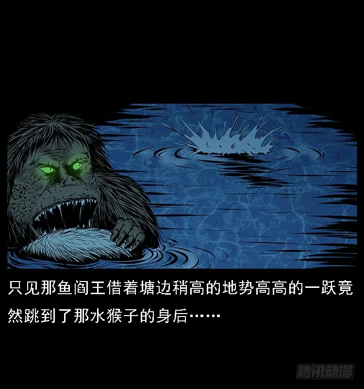 131鱼阎王大战水猴子 第47页