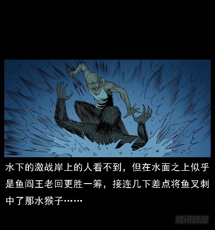 131鱼阎王大战水猴子 第54页