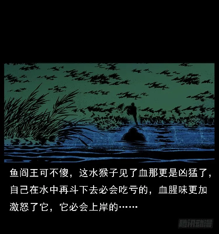 131鱼阎王大战水猴子 第64页