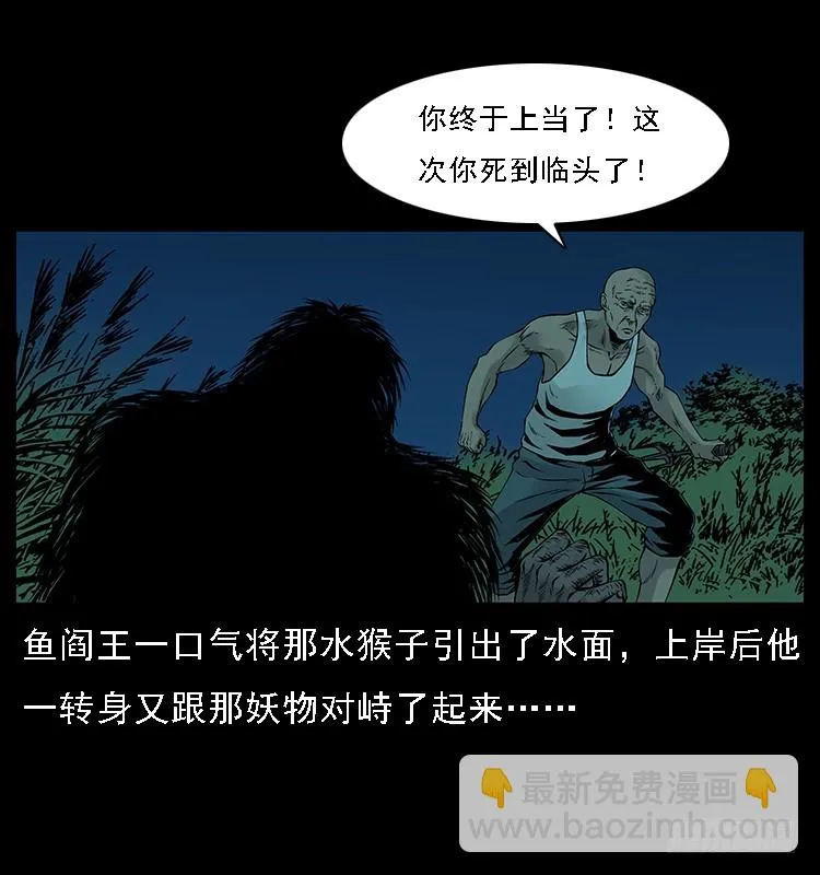 131鱼阎王大战水猴子 第65页