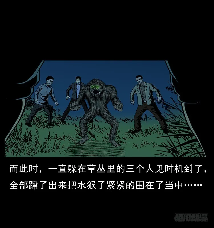 131鱼阎王大战水猴子 第66页