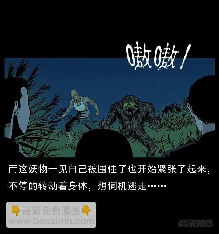 131鱼阎王大战水猴子 第67页
