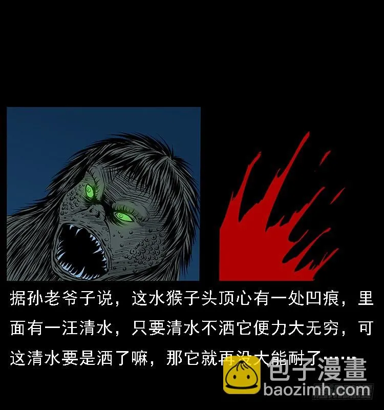 131鱼阎王大战水猴子 第71页