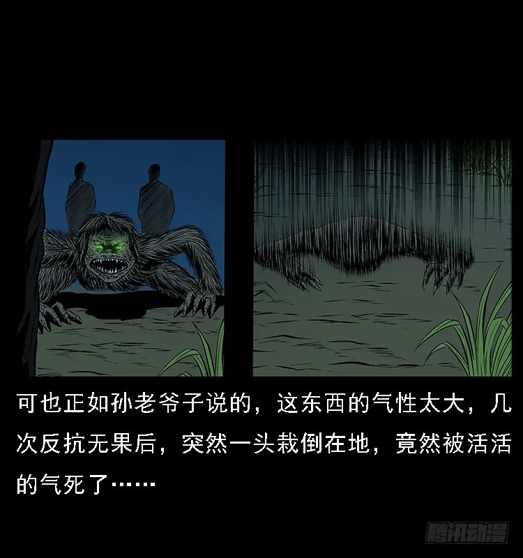 131鱼阎王大战水猴子 第73页