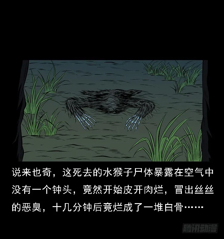 131鱼阎王大战水猴子 第74页