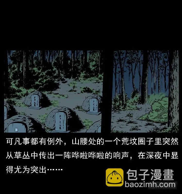 132坟地诡影 第3页