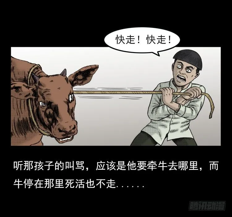 3老黄牛 第13页