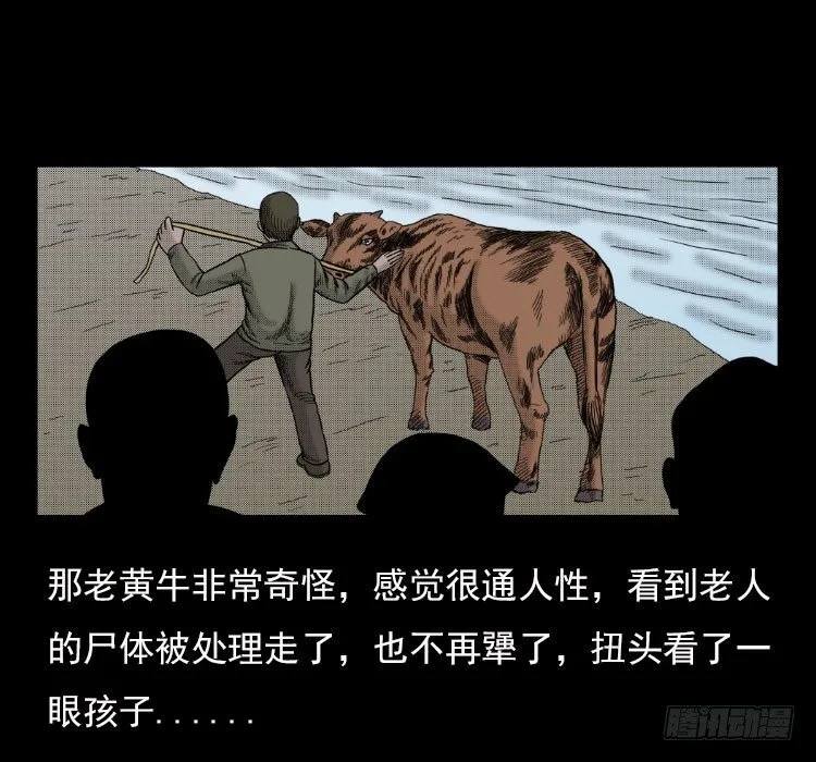 3老黄牛 第42页