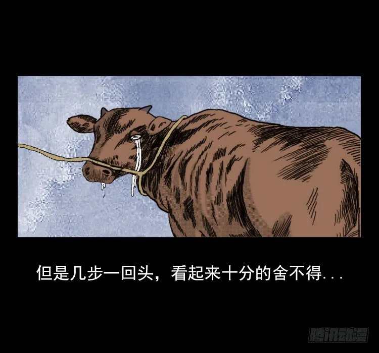 3老黄牛 第44页