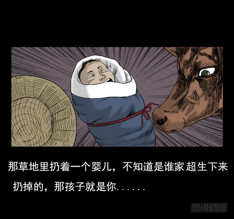 3老黄牛 第51页