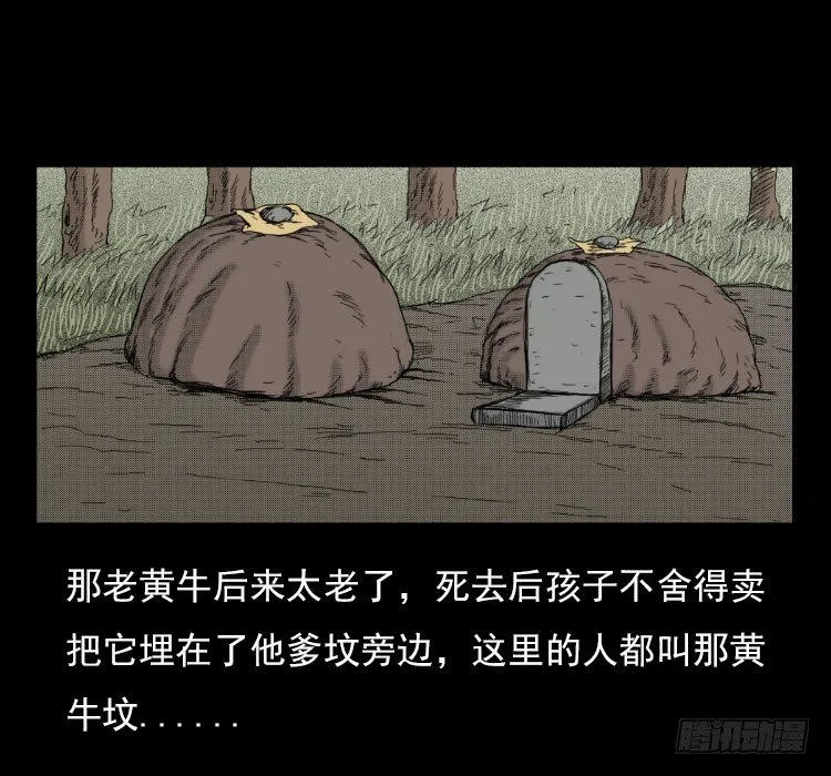 3老黄牛 第76页