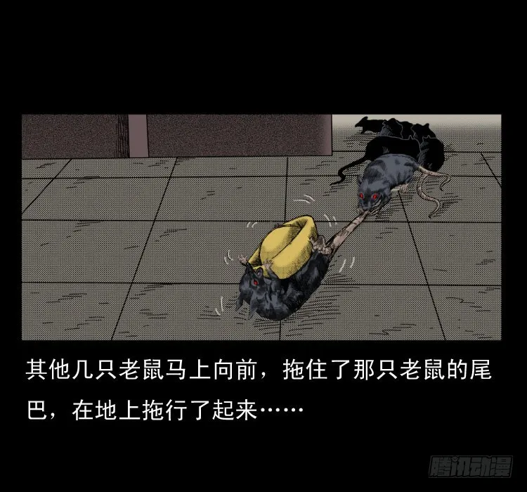46驱鼠术 第21页