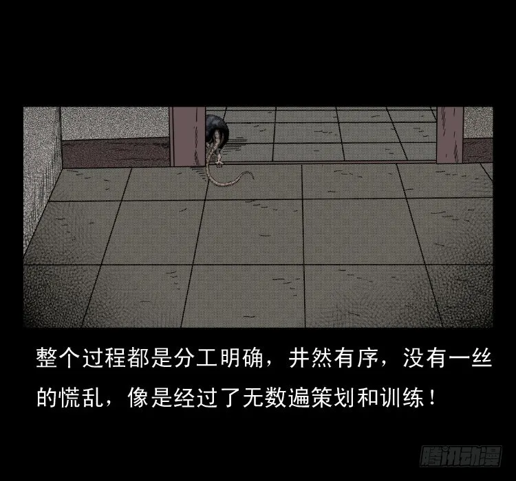 46驱鼠术 第23页