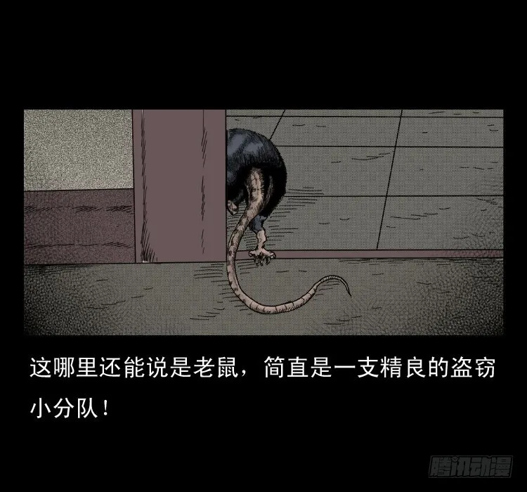 46驱鼠术 第24页