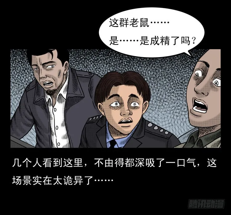 46驱鼠术 第25页