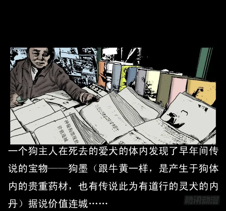 46驱鼠术 第37页