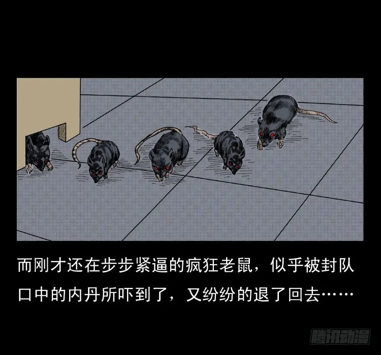 46驱鼠术 第66页