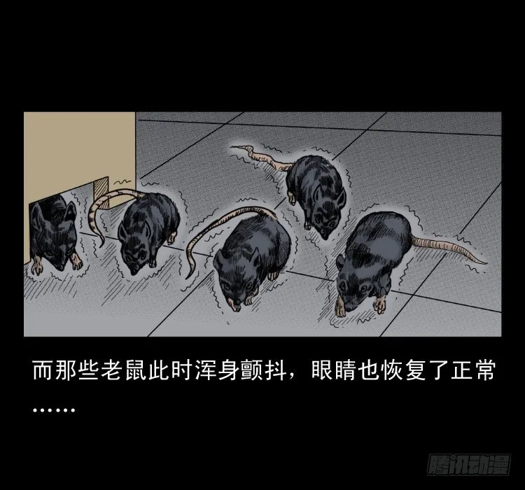 46驱鼠术 第69页