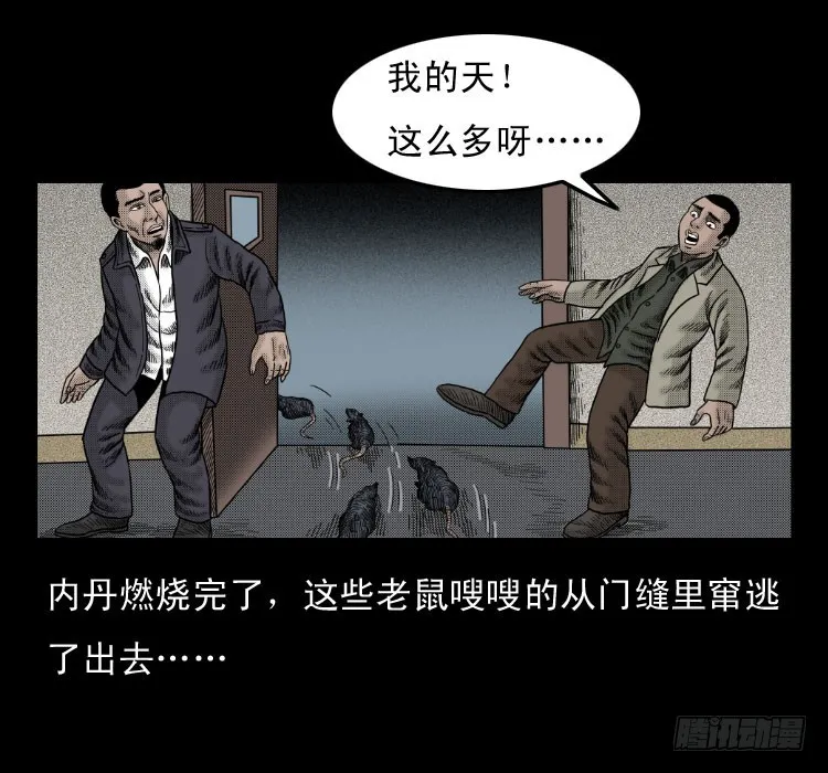 46驱鼠术 第70页