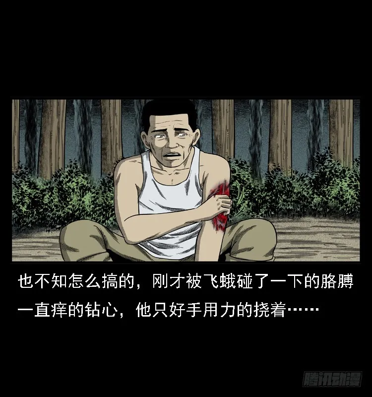 85尸蛾 第11页