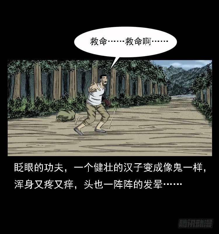 85尸蛾 第15页