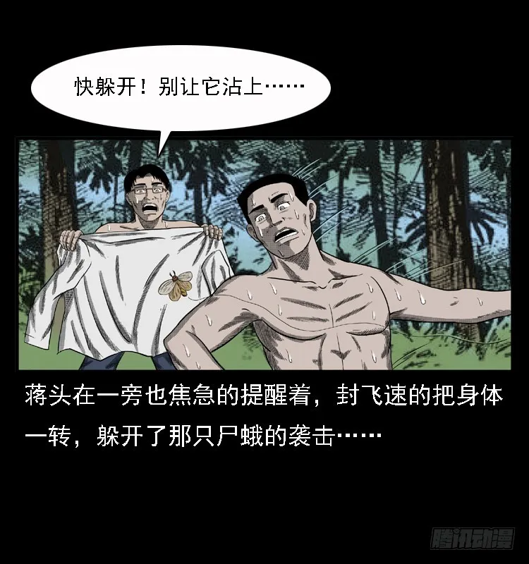 85尸蛾 第41页