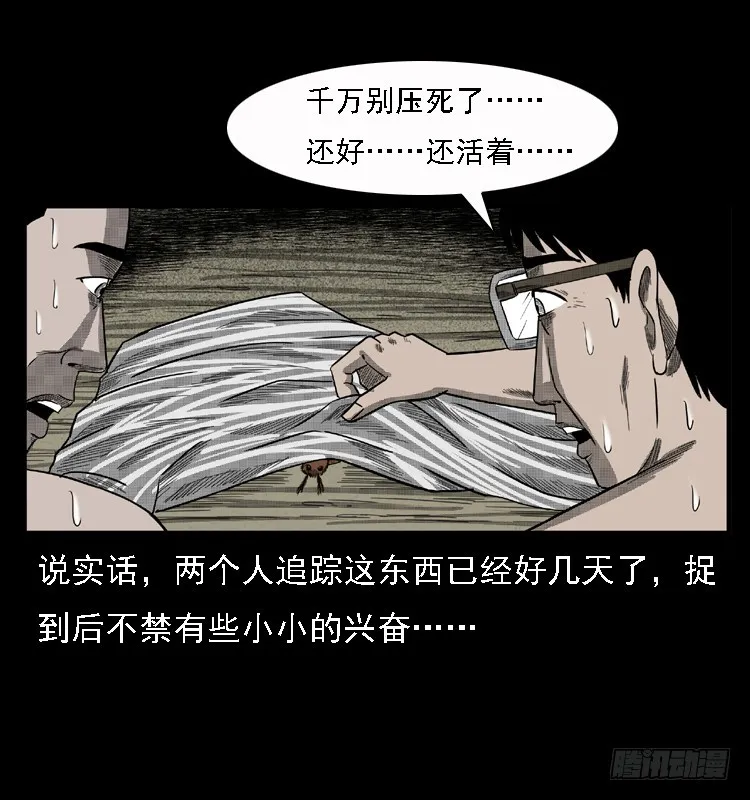 85尸蛾 第45页